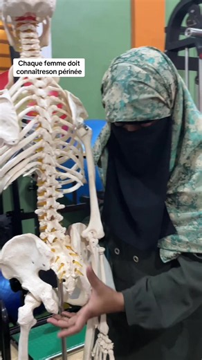 Comment fonctionne le périnée féminin : explication claire
