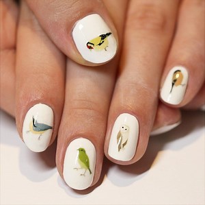 Bird Nail Art Transfers - Hand Drawn Illustrated Water Decals - Handmade Wildlife / Nature / Nail Tattoos - Etsy