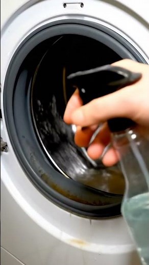Washing Machine Mold Cleaned 😱 | Front Load Rubber Seal ASMR