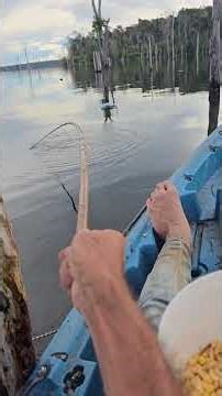 fishing with a bamboo rod