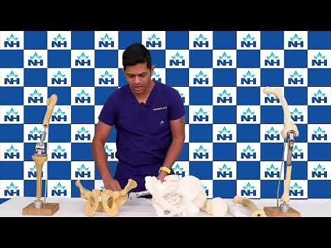 Bone Cancer: Types, Symptoms, and Treatment | Dr. Suman M B, Musculoskeletal Oncosurgery