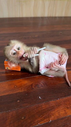 Video.07 | Mario Life's