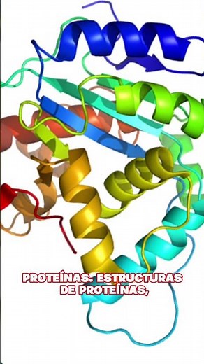 ¿Qué es un aparato de resonancia magnética nuclear?🥸