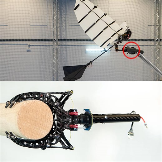 Autonomous P-Flap Robot Bird Has Giant Talon-Like Claw Mechanism to Help it Land Safely