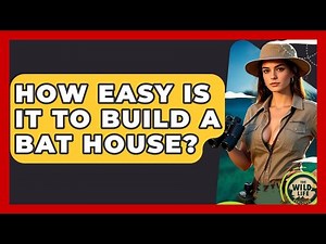 How Easy Is It To Build A Bat House? - The Wild Life Explorer