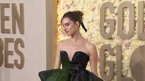 Allison Williams Sparkles In An Elegant Red Carpet Look