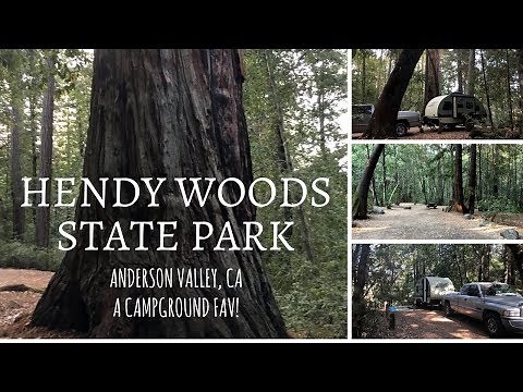 Hendy Woods State Park / Anderson Valley, California / A Campground Fav!