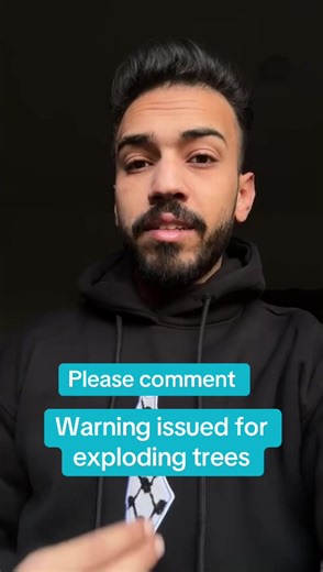 Warning: Dangers of Exploding Trees During Winter Storm