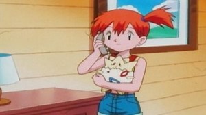 Watch Pokemon Season 2 Episode 25 - Friend and Foe Alike