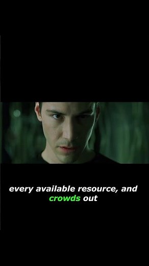 What is The Matrix really about?