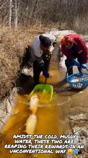 🔥 Catching Fish in a Muddy Stream, Water Splash Everywhere! 🐟💦
