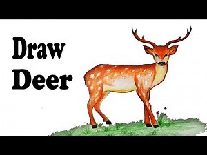 How to draw Deer.Step by step(easy draw)