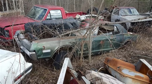 Big Junkyard Hidden in Michigan Is Packed With Golden-Era Muscle Cars