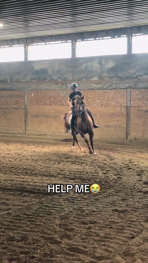 My Dad Laughing So Hard - Funny Horse Riding Moment