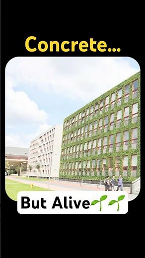 This Concrete Grows Moss! 🌿