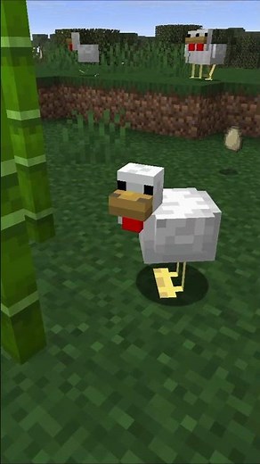 Unser Bambuswald in Minecraft ist richtig groß geworden
