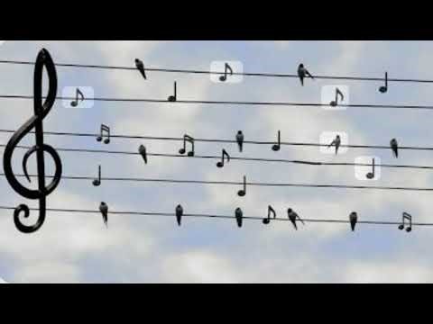 Captain Clark Music IS LIVE! #RC600 #Music #Livestream