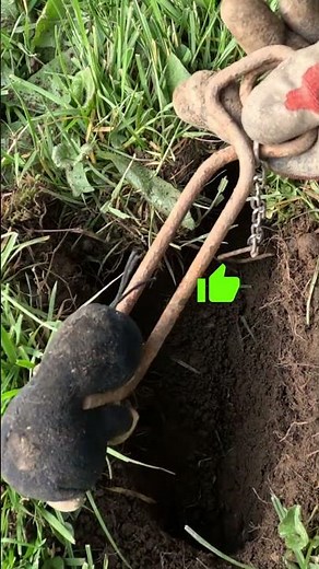 Mole trap: why always place the shutter release horizontally?