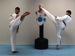 Taekwondo Roundhouse Kick Tutorial | 태권도 돌려차기 | TaekwonWoo