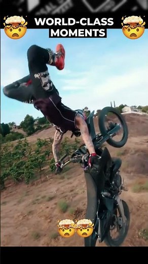 Crazy things caught on camera