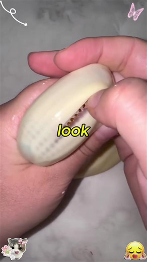 Second Date Update Prank on The Jubal Show