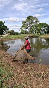 pesca con atarraya #fishing #pesca #atarraya | Pescando con Medina