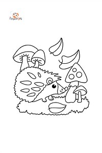 Hedgehog and mushrooms сoloring page ♥ Online and Print for Free!