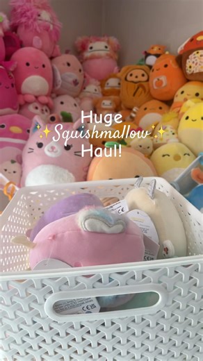 Huge Squishmallow haul! #squishmallows #shorts #viralshort