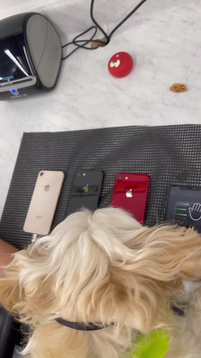 New hire training #employeeoftheyear