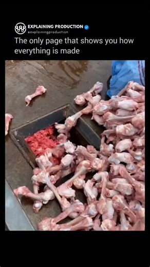 Explaining Production on Instagram: "This industrial Bone-Meat Grinding Machine is specially designed to crush animal bones and meat and turn them into a smooth, ground-paste consistency. Built with a high-strength stainless steel chamber and heavy-duty crushing blades, it efficiently breaks down poultry, fish, and livestock bones, making it ideal for processing slaughterhouse by-products, butcher waste, and animal protein materials. The machine delivers a fine, uniform paste suitable for animal