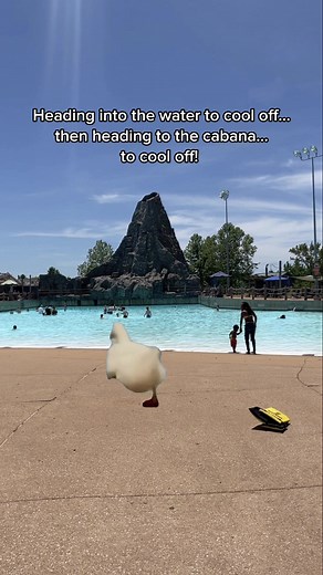🌊 Hurricane Harbor is the perfect place to duck into on a hot day! ☀️#mysixflags #sixflagsstlouis #hurricaneharbor
