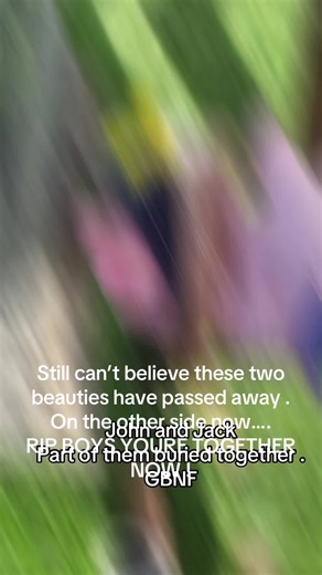 Still can’t believe these two boys have gone. :-( I miss their neighing when they see me, I miss their stubbornness (John) and the grunts (Jack) . You don’t realise how much you love them til they’re gone. #horsegrief #horselife #horseloss #rescueanimals #ponies @Kathryn Victoria aka Blue moo