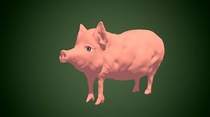 Cerdo Animal Granja - Free video on Pixabay