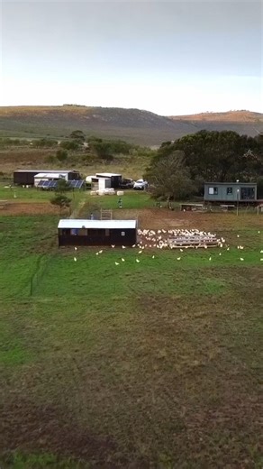 1.5K views · 50 reactions | I always dreamed of farming 讀. I worked...