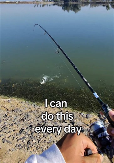 Enjoying Daily Bass Fishing Adventures