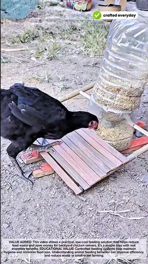 Smart DIY Chicken Feeder Using a Plastic Bottle — Simple and Efficient #craftedeveryday