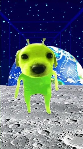 Dancing alien dog #funny