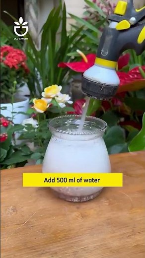 how to make fertilizer with egg shells