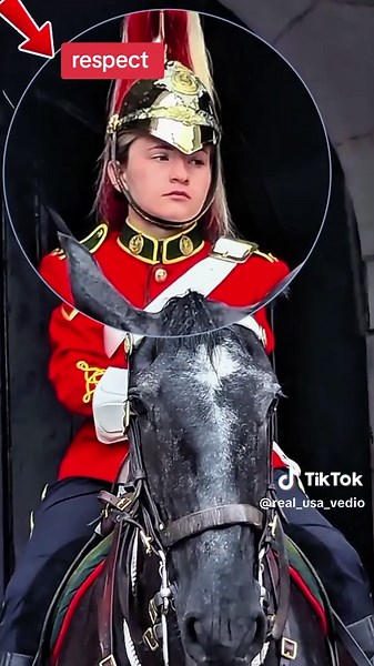Respect for the King Guard Horse