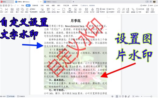 wps如何自定义设置水印，怎样将图片设置为wps文档水印？