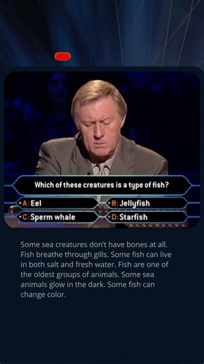 Which One Is Actually a Fish? 🐟 #quiz #millionaire #trivia #didyouknow #animals #fish #gameshow #tv