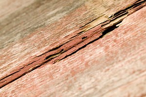 How to Fix a Rotten Floor Around the Toilet