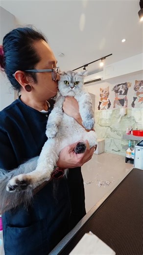 The Calm Cat Whisperer on Instagram: "This cat has a Hip/Leg problem 😿 This is Mylo. This boy has a hip and left back leg problem. Maybe I handled him so well that I did not notice any complaints from him 😻. Overall he was a goood boy."