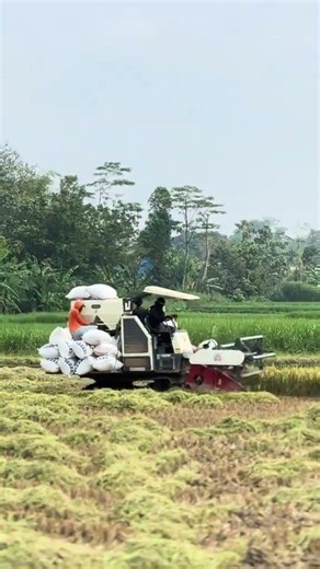 MAXXI || #combineharvester #maxxibimoterbaru #maxxibimo102standar #farming #combinepadi #automobile