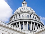 Crash Course Government