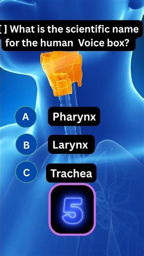 What Is The Scientific Name For The Human Boy's Voice Box? #quiz #triviatricks #anatomy #views