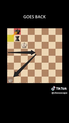 Chessscape على TikTok