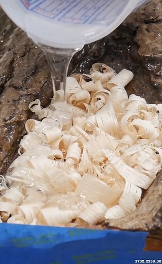 From Stump to Coffee Table #stump #treestump #tabletop #coffeetable | DIYTyler