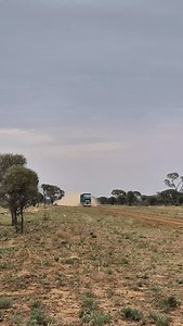 375 reactions · 17 shares | Pulled up for this Brooks' double with a load of cattle on  | Life at Leander | Facebook