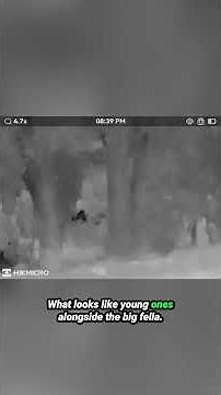 Yowie, Australian Bigfoot caught on thermal camera, real proof